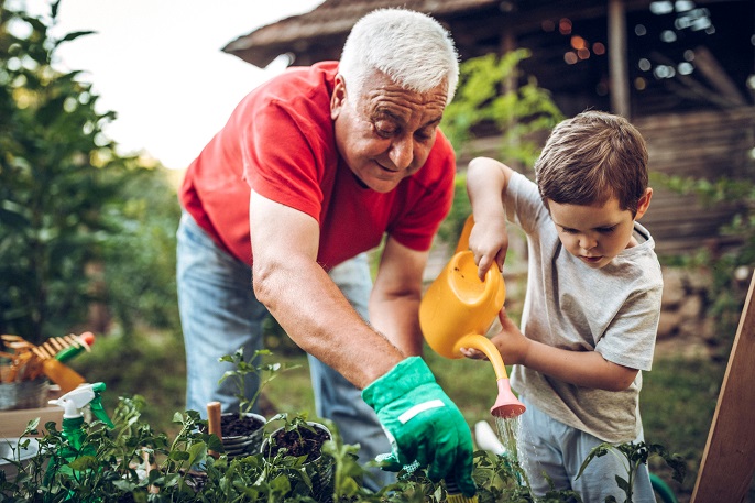 Grandfather and grandson watering plants in a garden together.